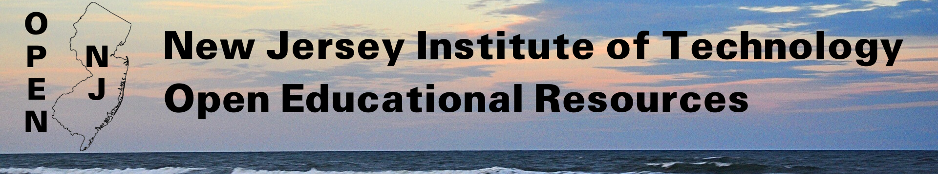 New Jersey Institute of Technology